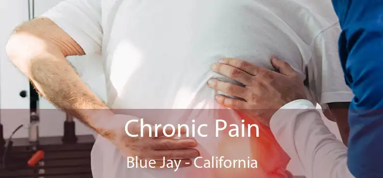 Chronic Pain Blue Jay - California