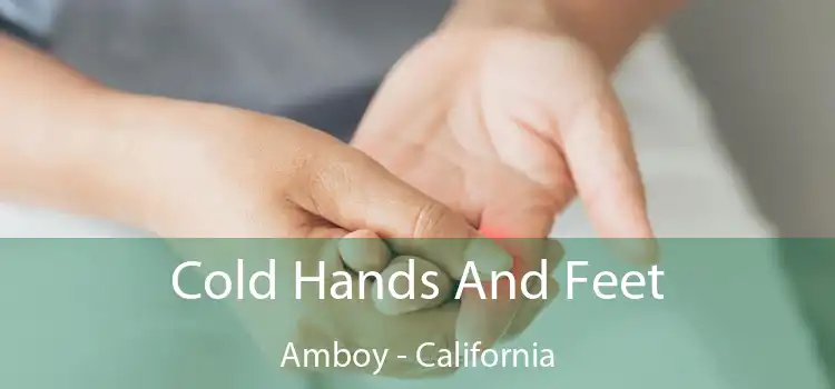 Cold Hands And Feet Amboy - California