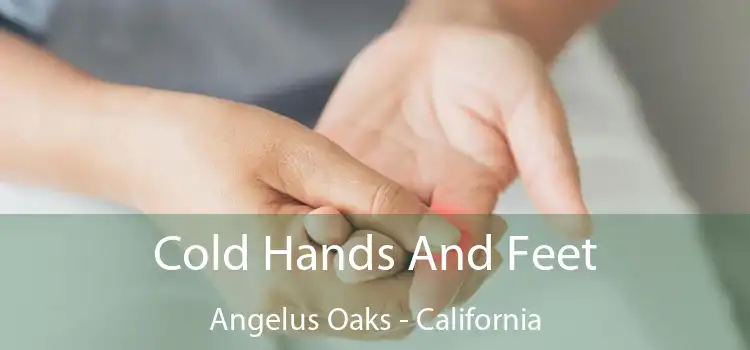 Cold Hands And Feet Angelus Oaks - California