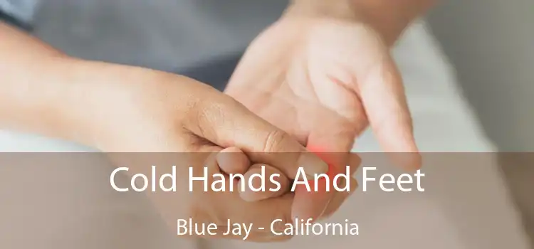 Cold Hands And Feet Blue Jay - California