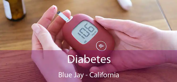 Diabetes Blue Jay - California