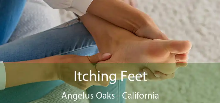 Itching Fееt Angelus Oaks - California