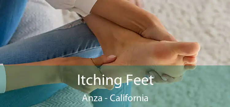 Itching Fееt Anza - California