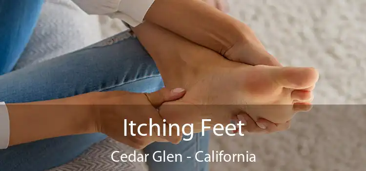 Itching Fееt Cedar Glen - California