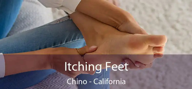 Itching Fееt Chino - California