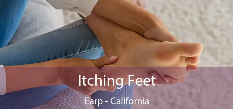 Itching Fееt Earp - California