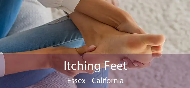 Itching Fееt Essex - California