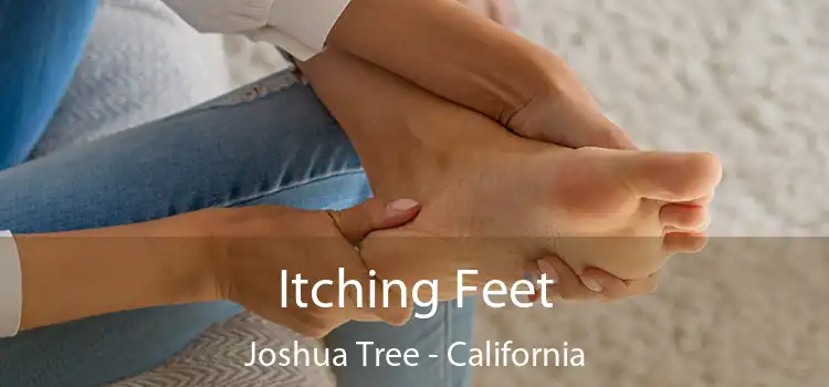 Itching Fееt Joshua Tree - California