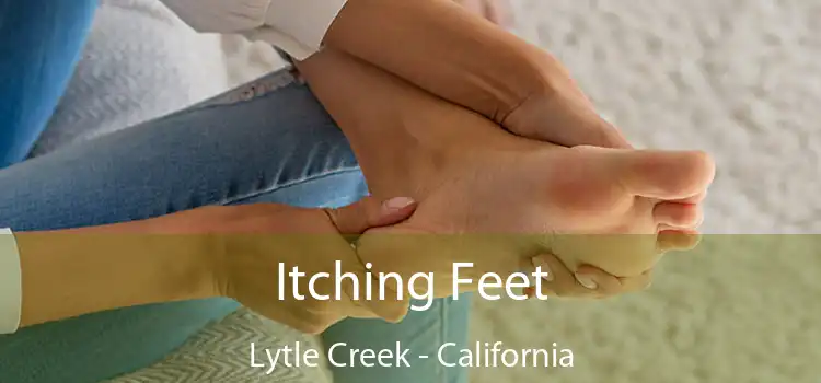 Itching Fееt Lytle Creek - California