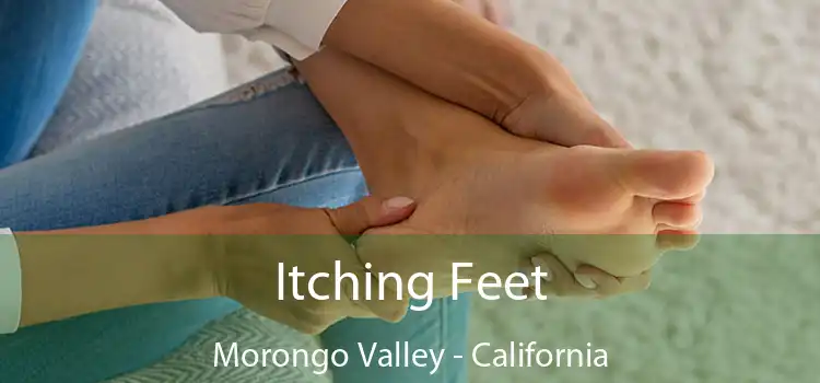 Itching Fееt Morongo Valley - California