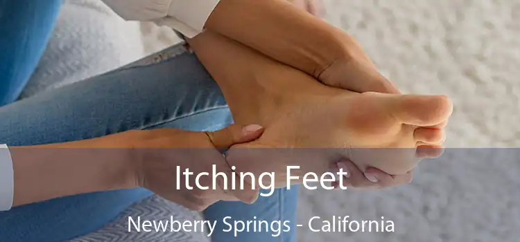 Itching Fееt Newberry Springs - California