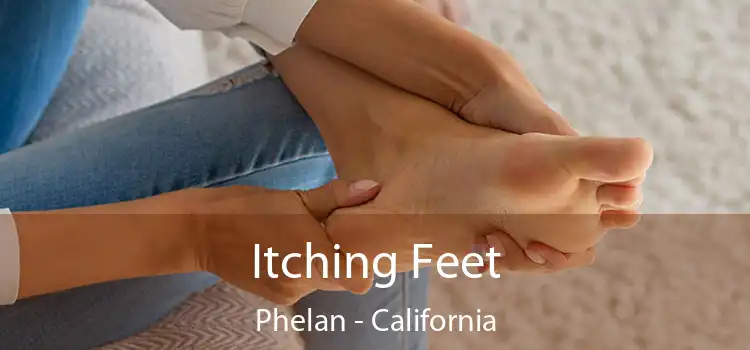 Itching Fееt Phelan - California