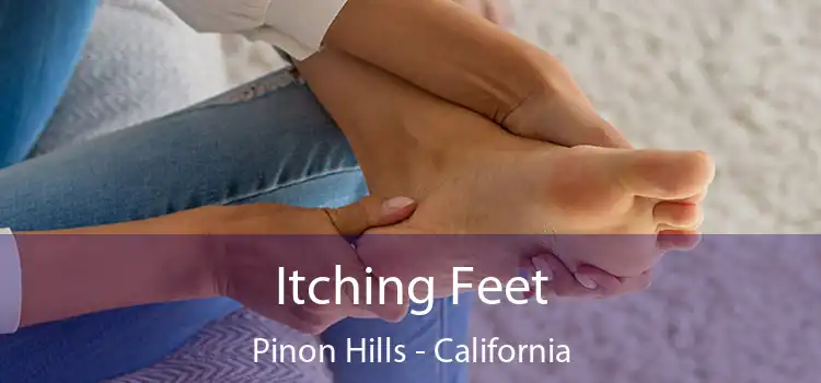 Itching Fееt Pinon Hills - California