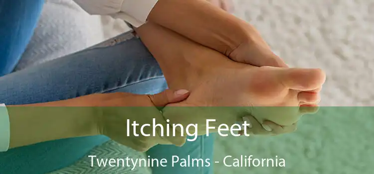 Itching Fееt Twentynine Palms - California