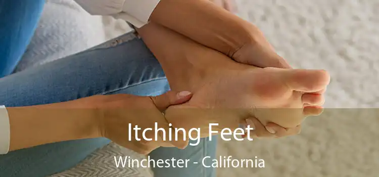 Itching Fееt Winchester - California